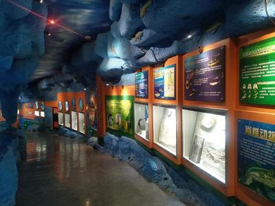 獲評鎮館之寶要符合什么條件?大河網記者專訪河南自然博物館館長徐莉