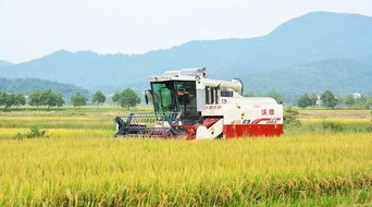 農機銷售季 為國產品牌打call，助力農業現代化新征程