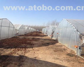 安陽市騰達農業技術推廣服務有限責任公司 熱賣促銷，優質農用機械廠家與供應商指南